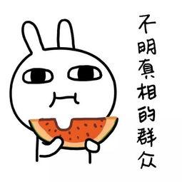 娱乐吃瓜酱背景图,揭秘娱乐圈幕后故事，带你领略明星们的真实生活