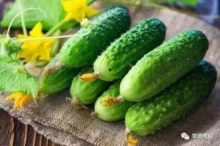今日头条立夏吃瓜
