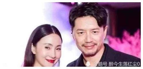 明星娱乐圈吃瓜大合集,明星吃瓜大合集深度解析