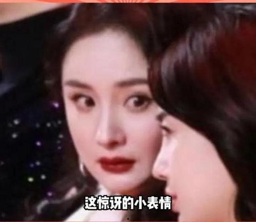 娱乐圈有没有瓜吃啊,揭秘明星幕后故事
